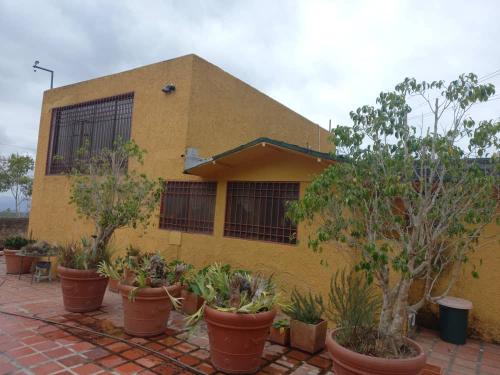 En San José de Los Altos Municipio Guaicaipu - Imagen 1